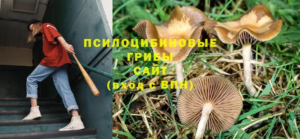 MDMA Premium VHQ Туринск