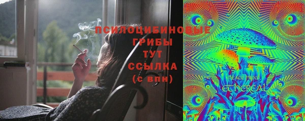 хмурый Балабаново