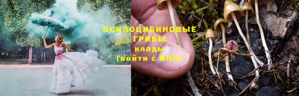 хмурый Балабаново